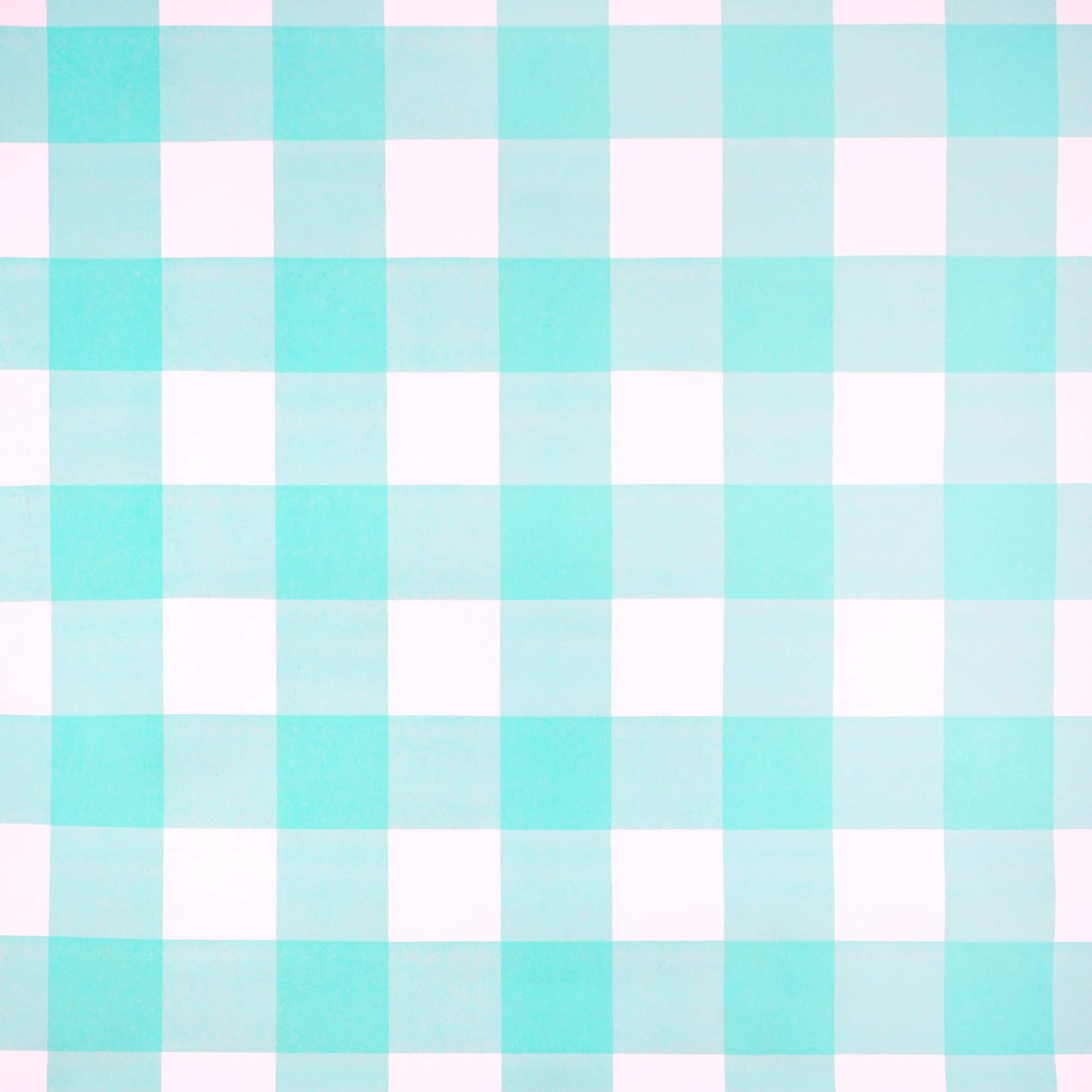 Class Rules! 48" x 12ft. Gingham Bulletin Board Paper by B2C